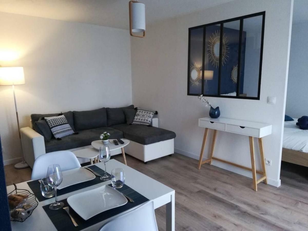 Appartement Cosy Proche Meteo France Et Airbus Toulouse Exteriör bild